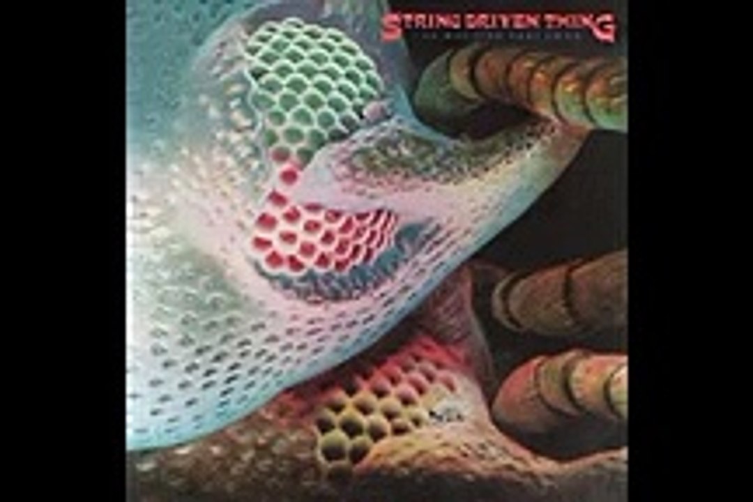 String Driven Thing album The machine that cried 1973 (1996) Video