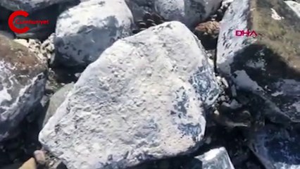 Salda'da 'salyalaşma' ve 'kararma' uyarısı 'NASA için bile olsa...'