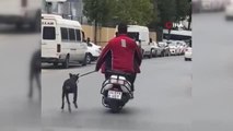 Bağcılar'da köpeği motosiklete bağlayıp dakikalarca koşturdu