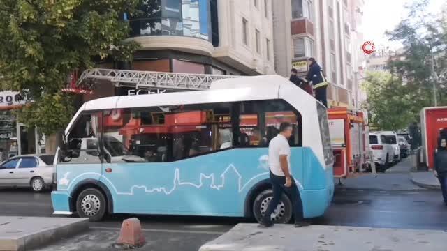 Son dakika haberi! Van'da ağaçta mahsur kalan kedi itfaiye ekipleri tarafından kurtarıldı