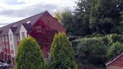 Dogs being left outside barking through all hours of the day near Hollin Lane Allotments