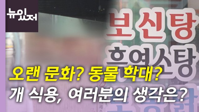 [뉴있저] 개 식용은 '오랜 문화' vs '동물 학대'...시민들 생각은? / YTN