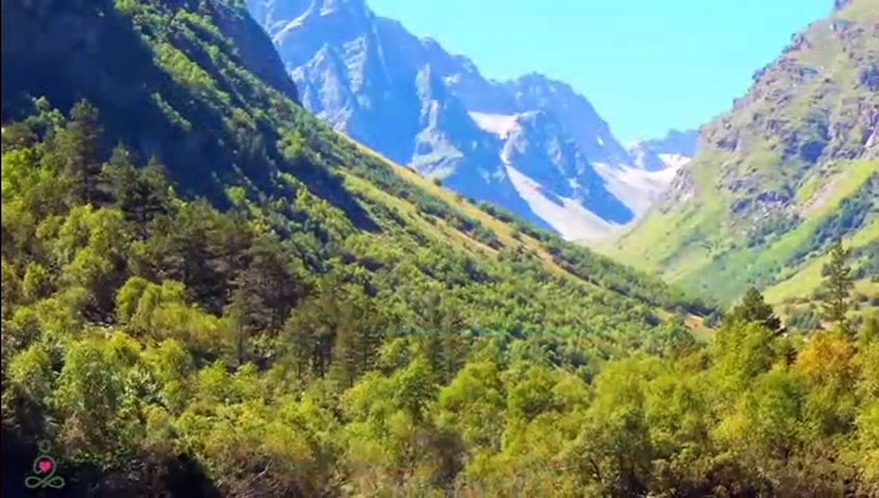 RESTAURATION DU SYSTÈME NERVEUX  Musique douce, apaise le système nerveux et fait plaisir à l'âme