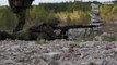 Estonia holds six-day snap military drills for 2,800 reservists
