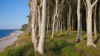Herbstanfang: Die schönsten Wälder für lange Spaziergänge!