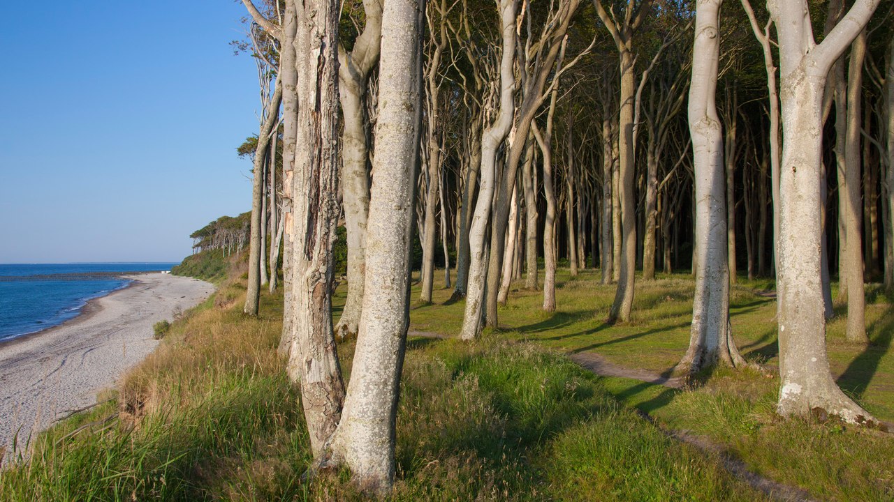 Herbstanfang: Die schönsten Wälder für lange Spaziergänge!