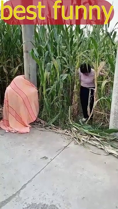 यह Illusions देखकर हैरान रह जाओगे  amazing Facts #shorts​480p