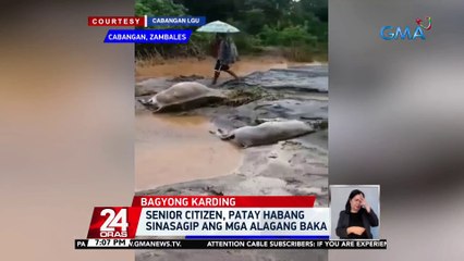 Mga taga-Brgy. Cadmang Reserva sa Zambales, nangangamba sa pagkasira roon ng dike; DPWH, nag-inspeksyon | 24 Oras