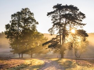 Herbsturlaub in Deutschland: Kennst du diese vier Geheimtipps?