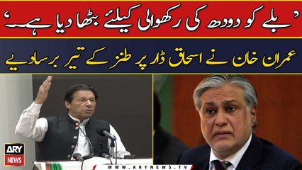 Imran Khan's sarcasm on Ishaq Dar