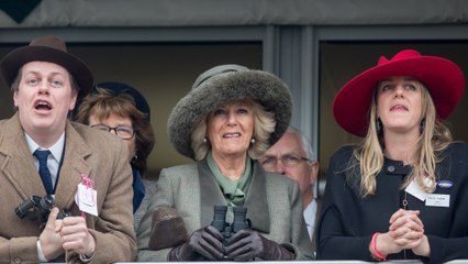 Could King Charles III's stepchildren play a role in His Majesty's modern monarchy?