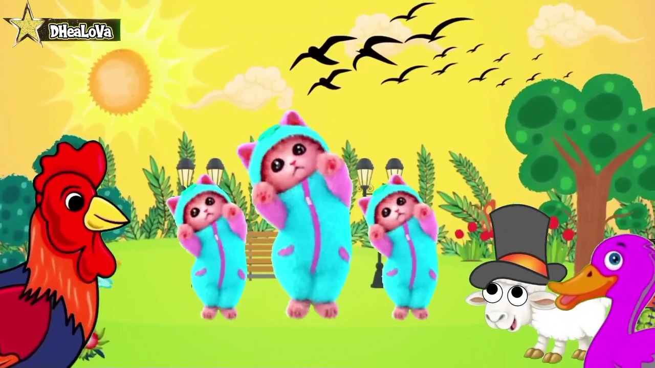 Topi Saya Bundar Lagu AnakKambing Dengan Topi Lucu