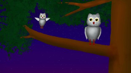 O PASSEIO DAS CORUJAS