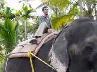 Elefant ride
