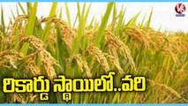 Record Level Paddy Cultivation Due To Heavy Rains In Mahabubnagar _ V6 News