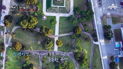 사방이 자연이 가득한 힐링 장소! 남한강 경관과 어우러진 중앙탑공원