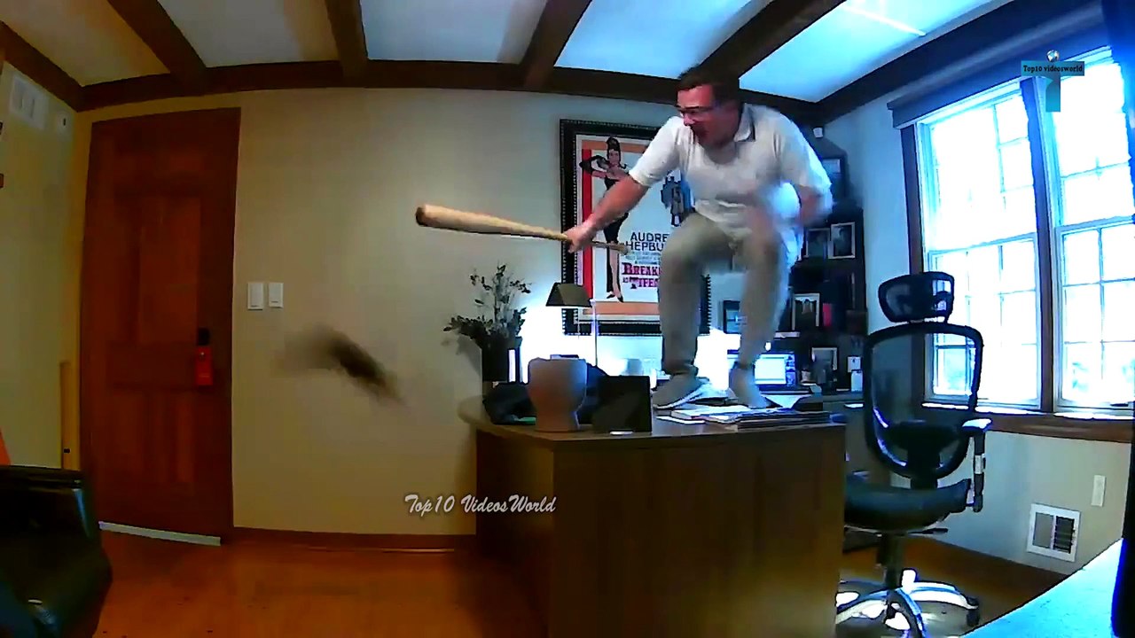13 Minutes Of Incredible Moments Caught On Camera