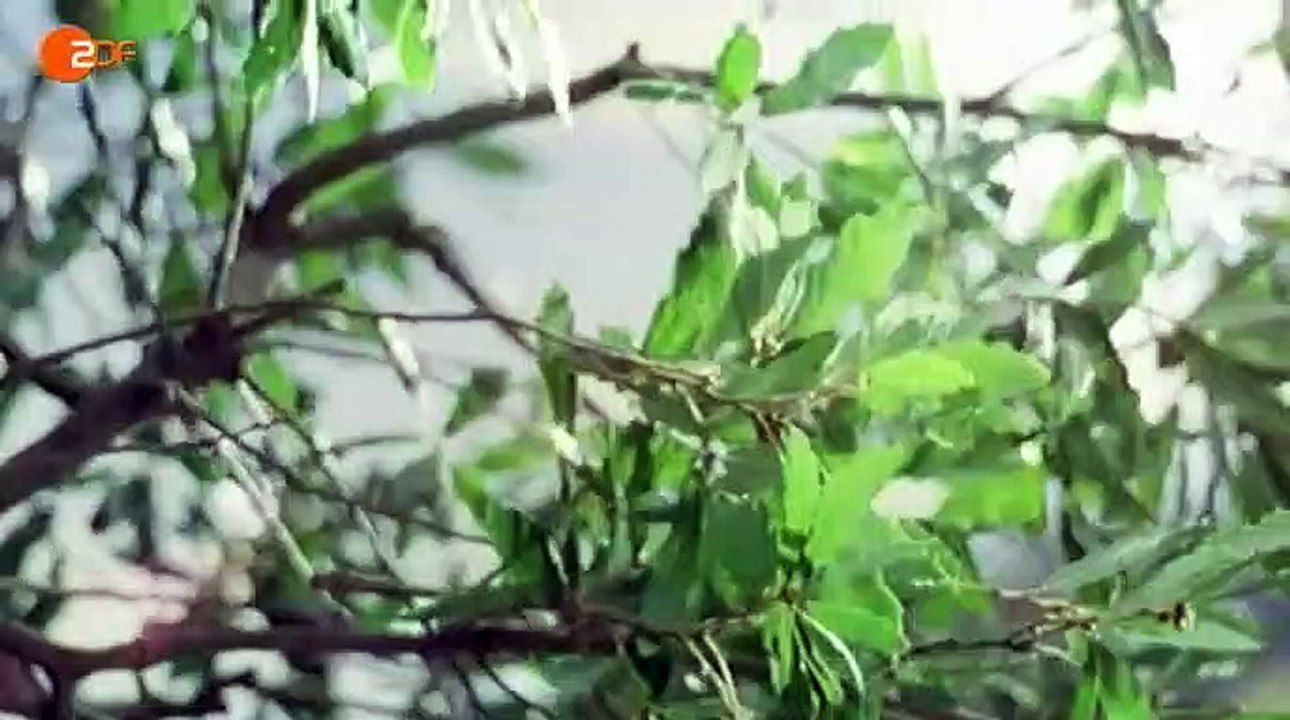 Alisa - Folge deinem Herzen Staffel 1 Folge 184 HD Deutsch