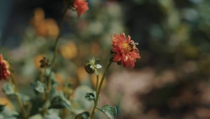 Nature Love Part 3 Here - Our World is So Beutiful-We Love Nature