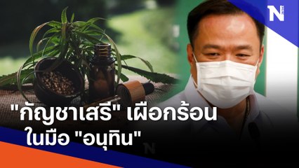 "กัญชาเสรี" เผือกร้อนในมือ "อนุทิน" | ข่าวข้นคนข่าว | NationTV22