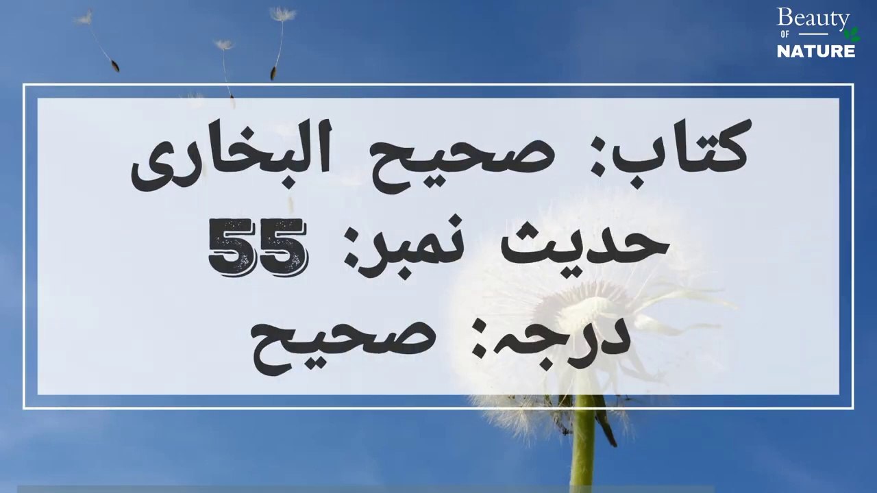 Sahih Bukhari Hadees No.55 _ Hadees Nabvi in Urdu _ Bukhari Hadees _ Bukhari Shareef in Urdu