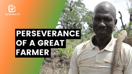 Burkina Faso: The perseverance of a great farmer
