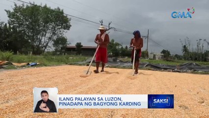 Ilang palayan sa Luzon, pinadapa ng bagyong Karding | Saksi