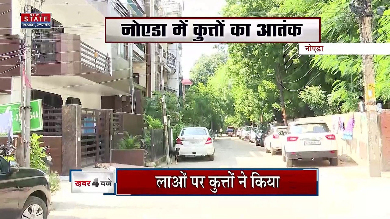 Noida: नोएडा में दो महिलाओं पर कहर बनकर टूटा कुत्ता, हालत देख सिहर जाएंगे आप | Stray Dog attack on women