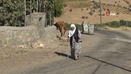 Batman haberi: Gercüş'te gönüllü gençler çevre temizliği yaptı