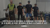 Cães policiais de Castanhal já ajudaram a descobrir mais de 10 milhões de reais em drogas
