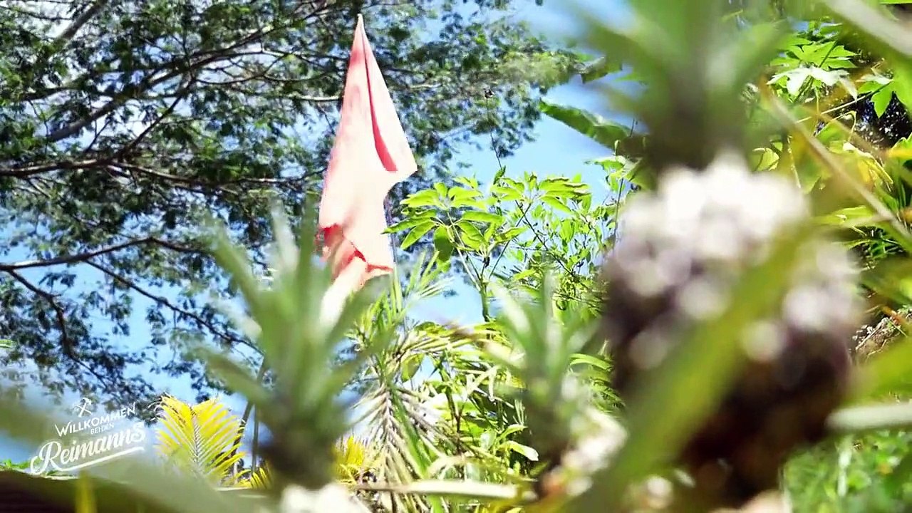 Willkommen bei den Reimanns Staffel 1 Folge 1 - Part 01 HD Deutsch