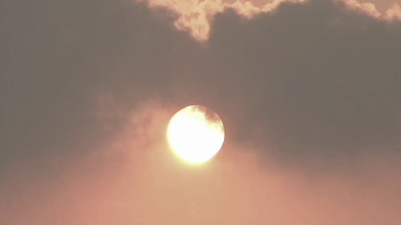 Wie ein Phönix aus der Asche by Frankae MG