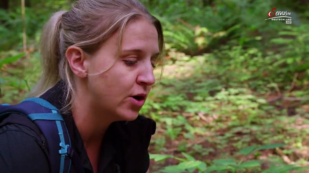 Hunde auf Mission Staffel 1 Folge 5 HD Deutsch