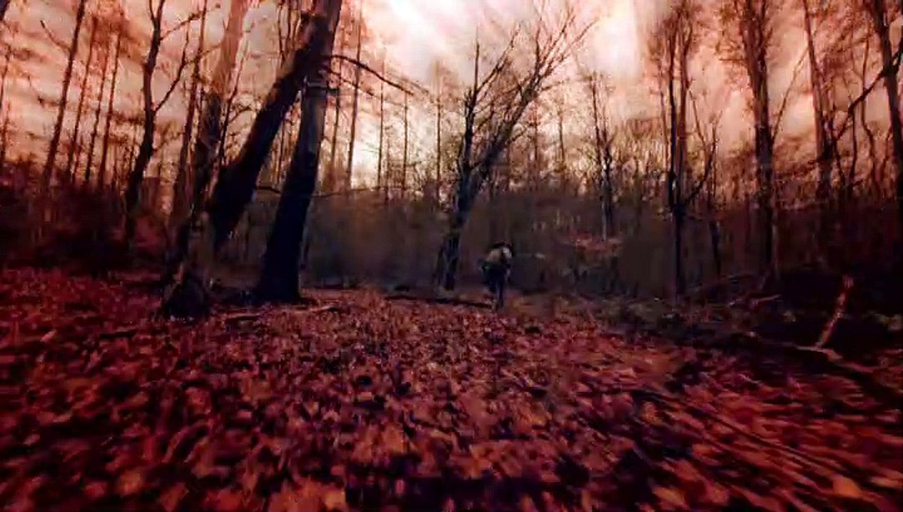 Wolfblood - Verwandlung bei Vollmond Filme 4 HD Deutsch