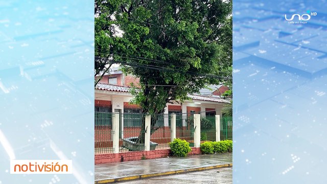 Intensa lluvia dejó árboles caídos, cables sueltos y calles anegadas