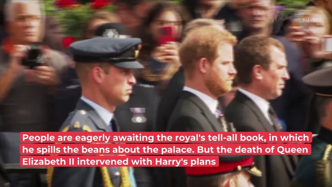 Prince Harry Panics Over Queen Reveal Book