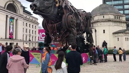 Reging Bull Birmingham Commonwealth Game