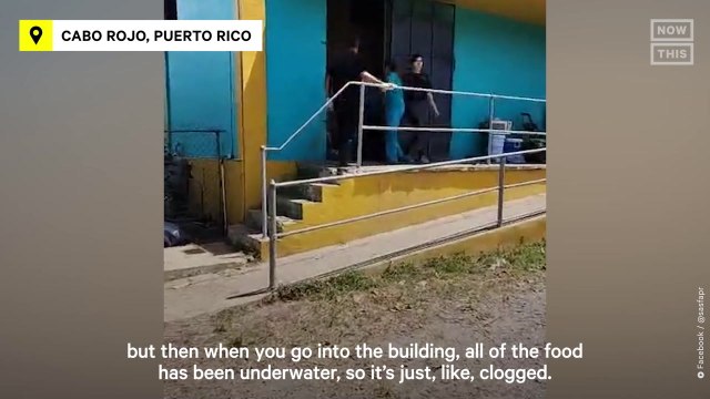 Community Rebuilds Animal Shelter After Hurricane Fiona