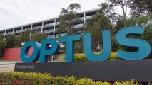 Several states offer free replacement drivers licences to victims of Optus hack
