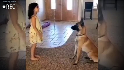 Bebi dog funny video #short