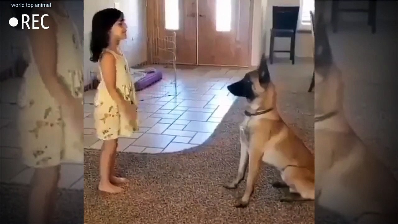 Bebi dog funny video #short