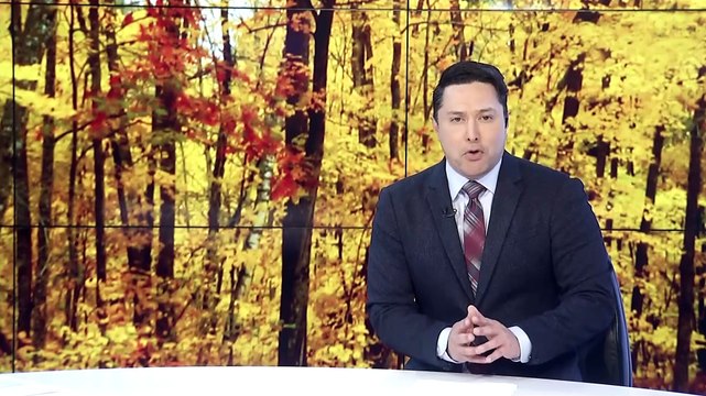 Junto con la llegada del otoño, llegan también los riesgos de salud causados por las alergias.