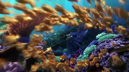 Le Monde de Dory Bande-annonce (PL)