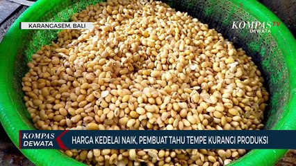 Tải video: Harga Kedelai Naik, Pembuat Tahu Tempe Kurangi Produksi