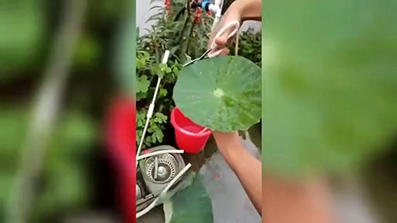 Oddly Satisfying Video Stress Relief-Meditation-Relaxing Scenes & Calming Music You Will Enjoy Ep#2