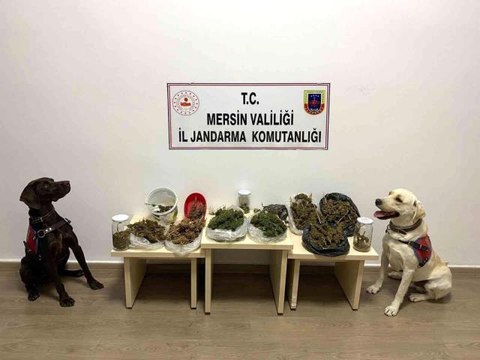 Son dakika haberleri... Mersin'de uyuşturucu operasyonu