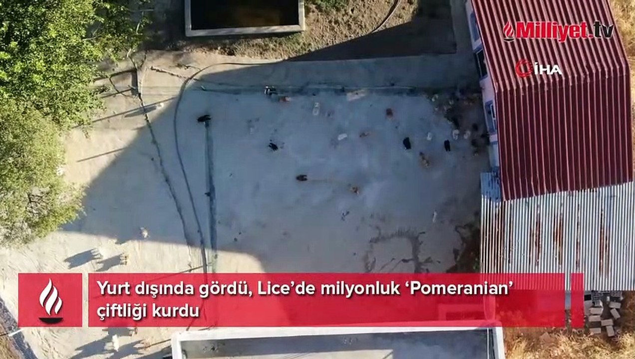 Yurt dışında gördü, Lice’de milyonluk ‘Pomeranian’ çiftliği kurdu