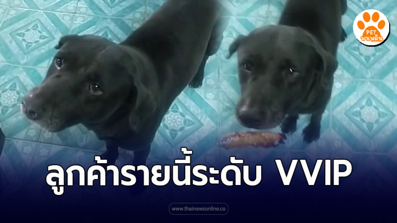 ลูกค้ารายนี้ระดับ VVIP เงินไม่เคยพก แต่ได้กินจนอิ่ม