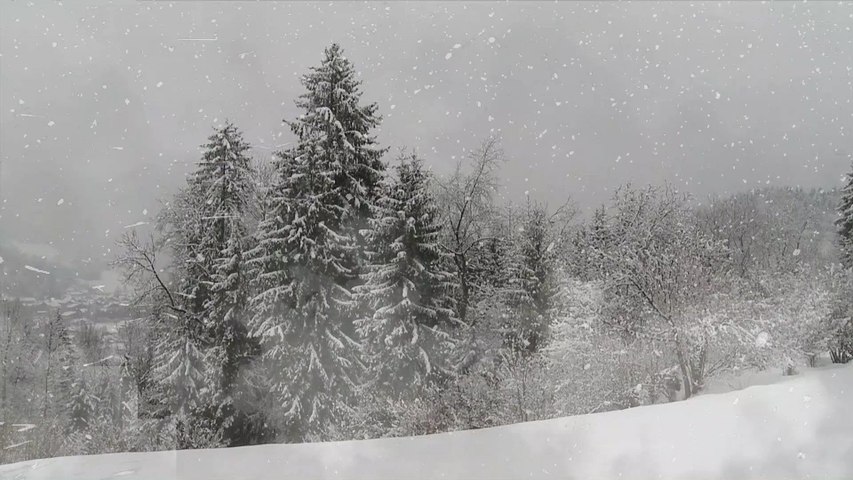 Heavy snow in the high mountains ❄ Blizzard & Wind howl © Winter ambience