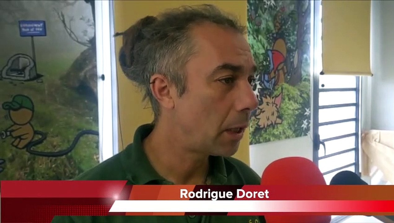 Feux sur le sentier de l'ONF : 3000 m2 ont brûlé